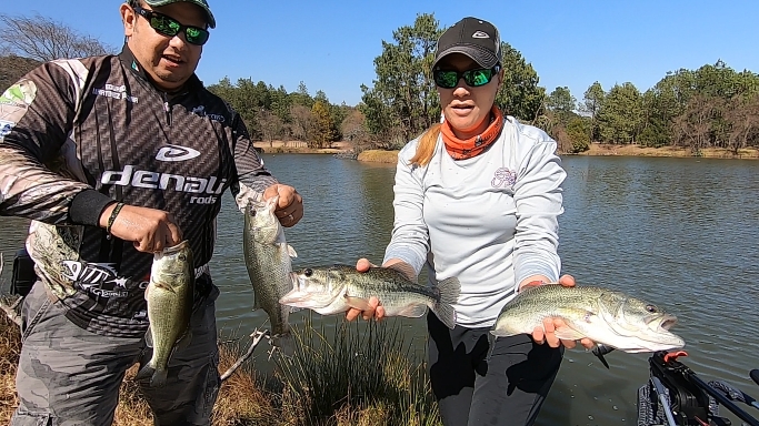 Captura de pantalla (766).png